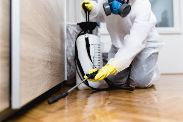 Best Bed Bug Extermination  in North Valley Stream, NY