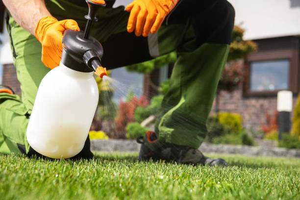 Trusted North Valley Stream, NY Pest Control Experts