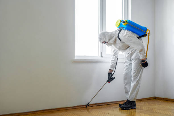 Pest Prevention Services in North Valley Stream, NY