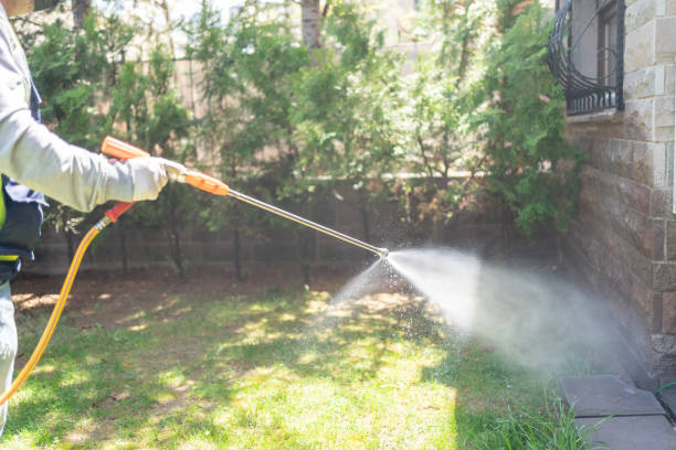 Best Pest Prevention Services  in North Valley Stream, NY