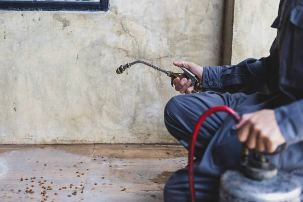 Best Pest Removal Services  in North Valley Stream, NY